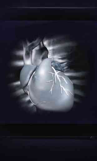 HeartCam 4