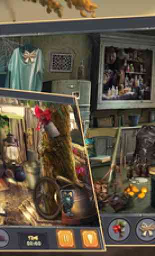 Hidden object games : Lost in Time Search and Find objects 3