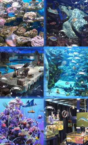 Hidden Object: Mystery in the Aquarium 4