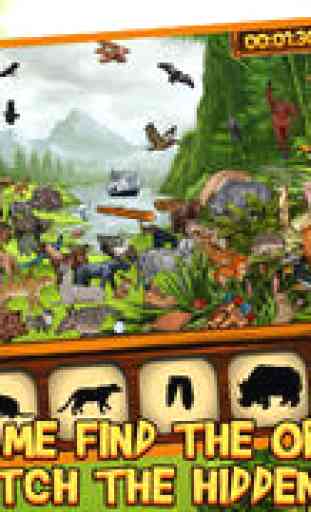 Hidden Objects: Mystery Backwoods Land, Full Game 1