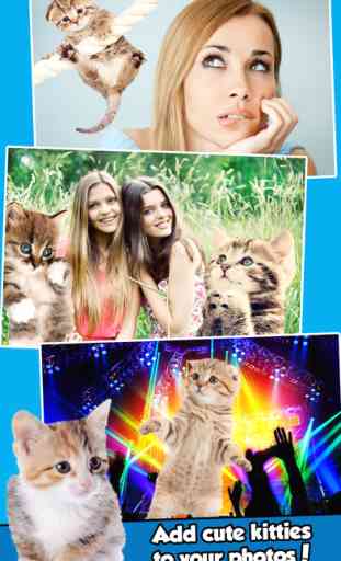 InstaKitty - A Funny Photo Booth Editor with Cute Kittens and Cool Cat Stickers for Your Pictures 1