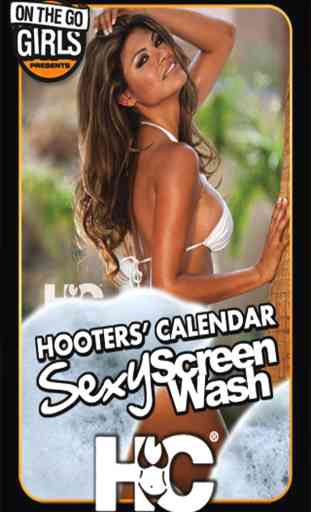 Hooters Calendar Sexy Screen Wash 3