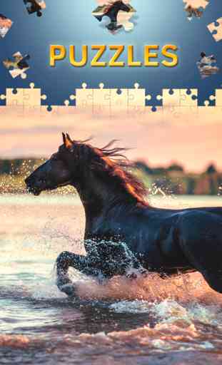 Horses jigsaw puzzles free for adults 1