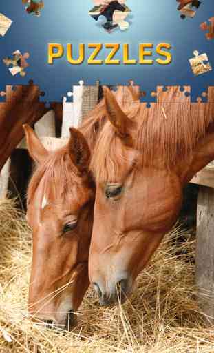 Horses jigsaw puzzles free for adults 2