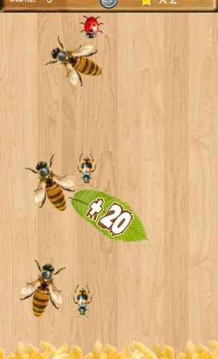 Insect Smasher Free 1