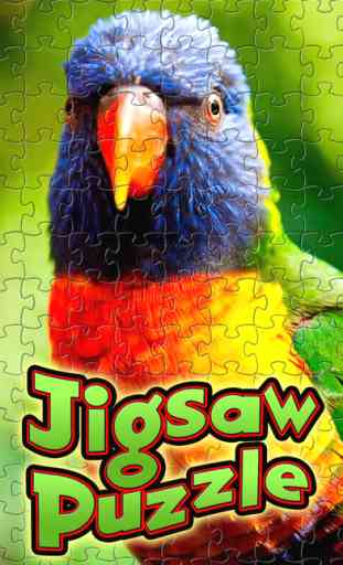 Jigsaw Puzzle 1