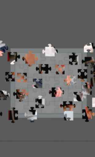 Jigsaw Puzzle - NCIS Style 2