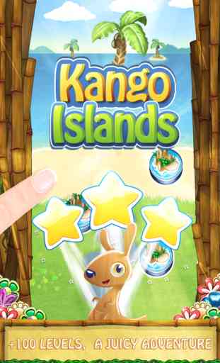 Kango Islands - Flower Swipe Match 3 4