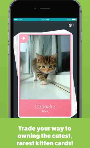 Kitten Cards - The Cat Trading Card Game 3