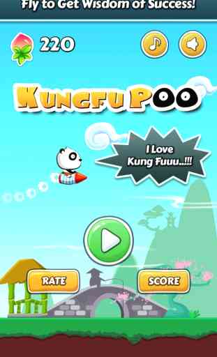 Kung Fu Poo - Tiny Flying Panda 2