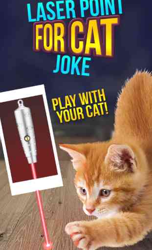 Laser Point For Cat Joke 1