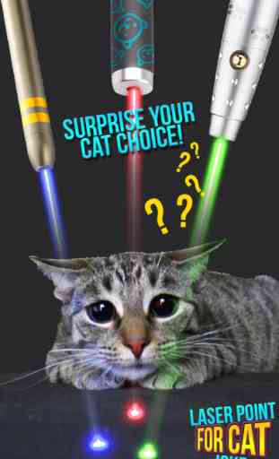 Laser Point For Cat Joke 2