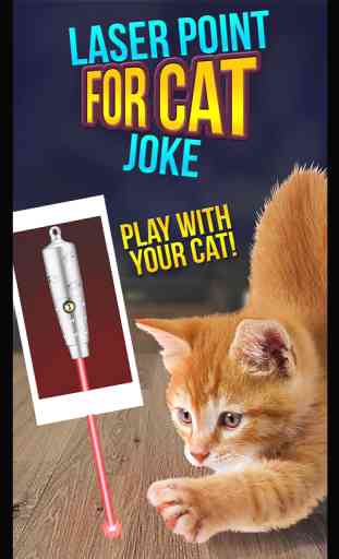 Laser Point For Cat Joke 4