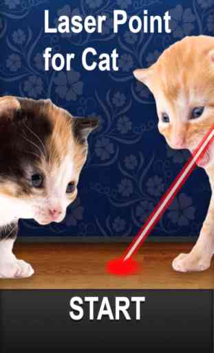Laser Pointer for Cat 1