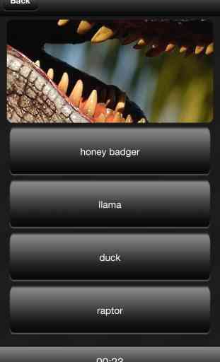 Llama or Duck or Honey Badger or Raptor? 4