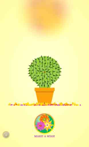 Lucky Cactus Mini 3