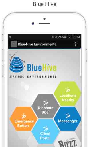 BlueHive Strategic Environments 2