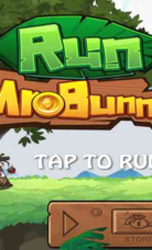 Mega Bunny Run 1