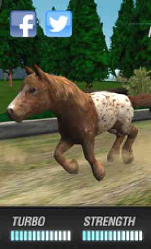 My Pony Horse Riding - The Horses Racing Game 3