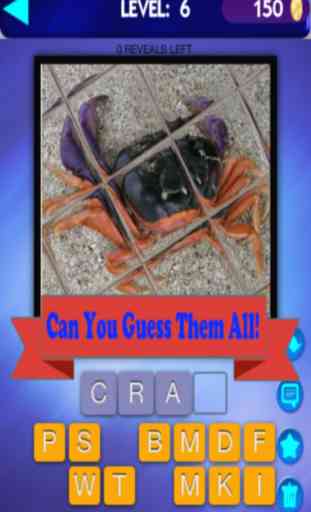 My Top Animal Magic Tile Playtime Quiz - Free App 3