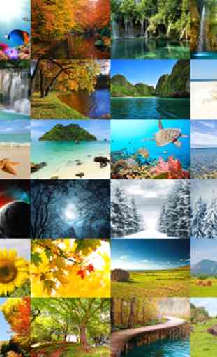 Nature - Jigsaw and sliding puzzles 3