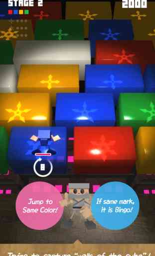 Nin-NinCube/Too much thrilling action puzzle game 3