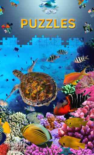 Ocean Jigsaw Puzzles free Games for Adults 3