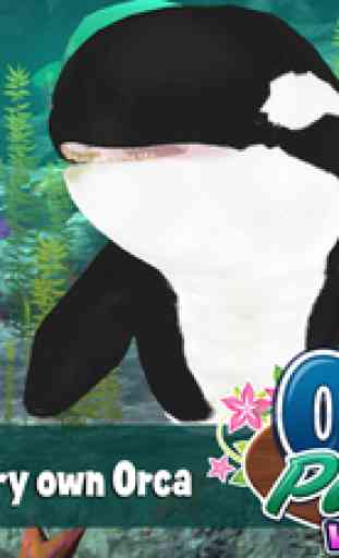 Orca Paradise: Wild Friends 1