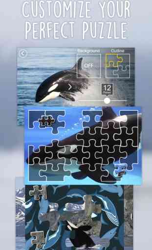 Orca Puzzles for Kids Free Jigsaw Wonder Edition 2