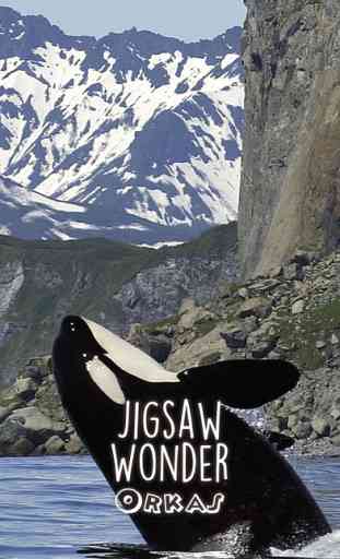 Orca Puzzles for Kids Free Jigsaw Wonder Edition 4