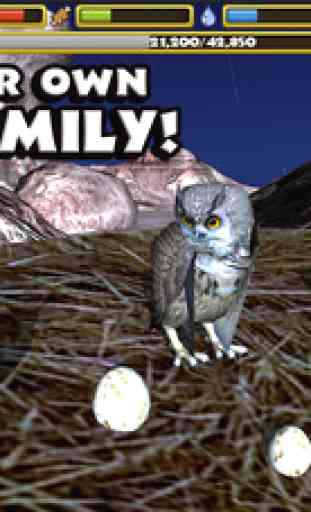 Owl Simulator 3