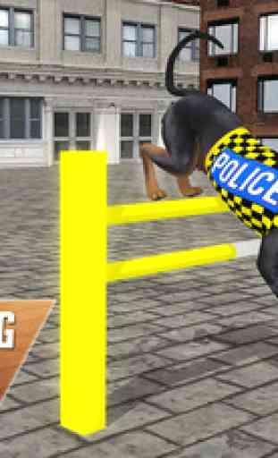 Police Dog Stunt Training 1