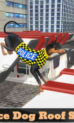 Police Dog Stunt Training 4