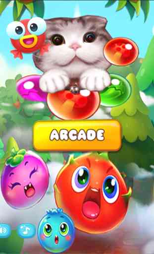 Pop Cat Bubble Angry Match 3: Jelly Birds Mania 4