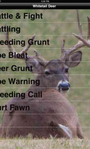 Pro Deer Calls 4