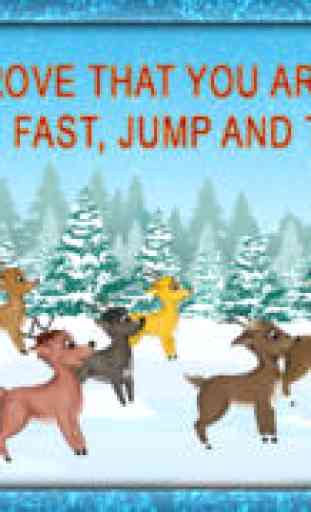 Reindeer Race and Jump agility obstacle course : Training for Christmas Day - Free 3