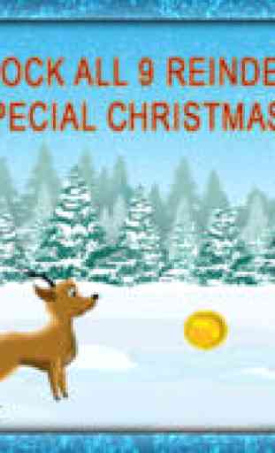 Reindeer Race and Jump agility obstacle course : Training for Christmas Day - Free 4