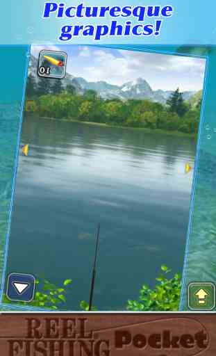 Reel Fishing Pocket 4
