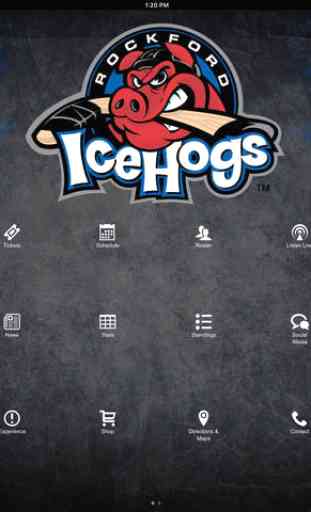 Rockford IceHogs 4