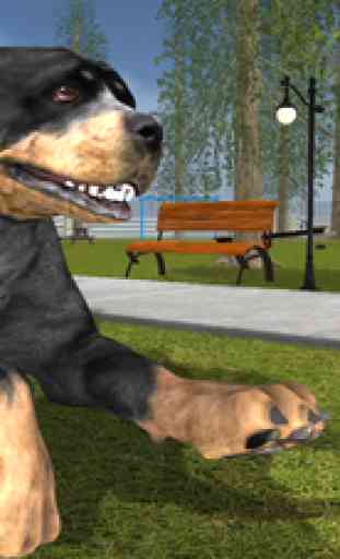 Rottweiler Dog Life Simulator 1