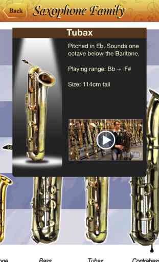 Saxophone All-in-one 3