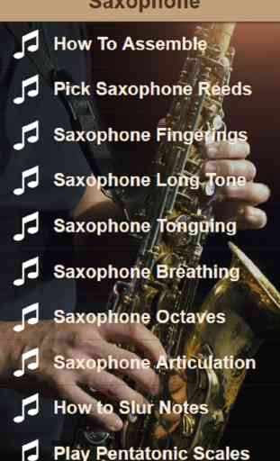 Saxophone Lessons - Learn To Play The Saxophone 1