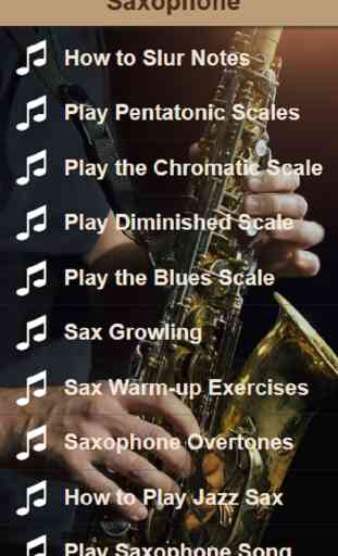 Saxophone Lessons - Learn To Play The Saxophone 2