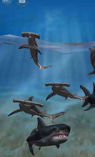Shark Fingers! 3D Interactive Aquarium FREE 1