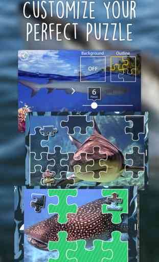 Shark Puzzles for Kids Jigsaw Wonder Collection 2
