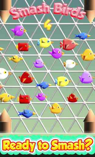 Smash Birds 4: Best of fun for Boys Girls and Kids 4
