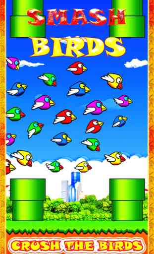Smash Birds: Fun and Cool for Boys Girls and Kids 1