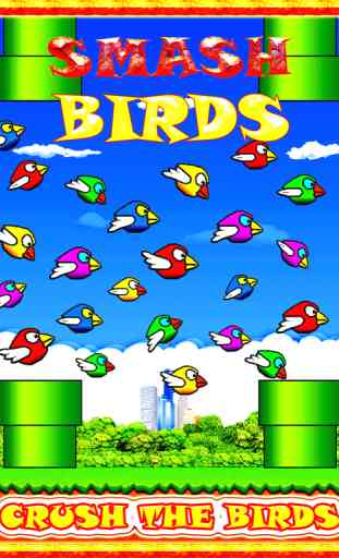 Smash Birds: Fun and Cool for Boys Girls and Kids 3