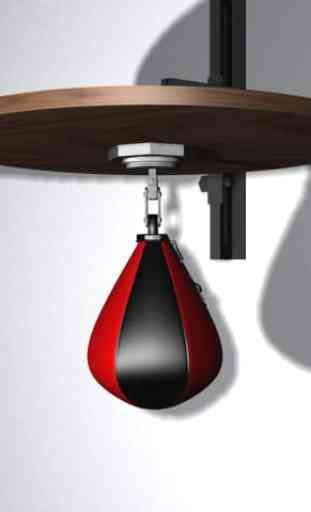 Speed Bag (Punch it!) 3