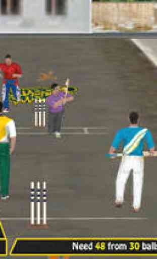 Street Cricket Free 2